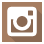 icon instagram